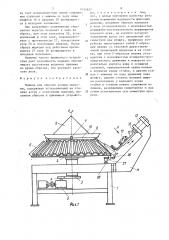 Машина для обрезки концов моркови (патент 1651827)