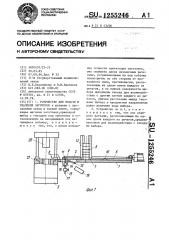 Устройство для подачи и удаления заготовок (патент 1255246)