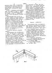 Плоскорежущая лапа (патент 978747)