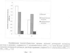 Способ дифференциальной диагностики псевдотуберкулеза и кишечного иерсиниоза и диагностический набор для его осуществления (патент 2339952)