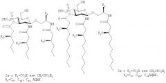 Некоторые аминоалкилглюкозаминидфосфатные производные и их применение (патент 2389732)