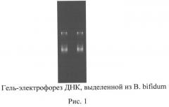 Способ получения бифидогенного фактора (патент 2553513)