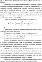 Новые пиперидины в качестве модуляторов хемокинов (ccr) (патент 2348616)