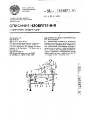 Устройство для развития мышц рук и туловища (патент 1674871)