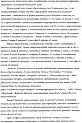 Способ получения l-треонина с использованием бактерии, принадлежащей к роду escherichia, в которой инактивирован кластер генов sfmacdfh-fimz или ген fimz (патент 2333953)