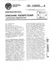 Высоковольтный стабилизированный источник питания фотоэлектронного умножителя (патент 1124737)