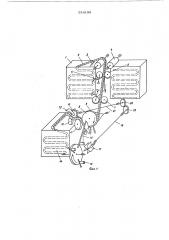 Устройство подачи сеянцев в посадочный аппарат (патент 534198)
