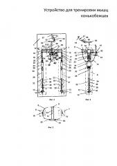 Устройство для тренировки мышц конькобежцев (патент 2634243)