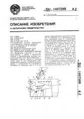 Сепаратор зернового вороха (патент 1407589)