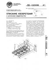 Шаблон для изготовления кодовых жгутов постоянных запоминающих устройств (патент 1325556)