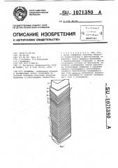 Прошивка (патент 1071380)