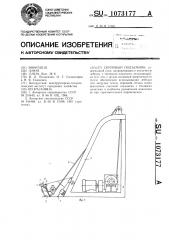 Скиповый подъемник (патент 1073177)