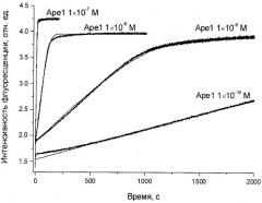 Способ определения активности апурин/апиримидин-эндонуклеазы человека (патент 2389026)
