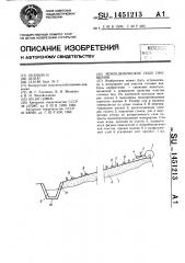 Земледельческое поле орошения (патент 1451213)