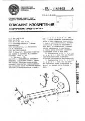 Измельчитель корнеклубнеплодов (патент 1189403)