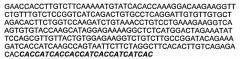 Блокирующие антитела против dkk-1 и их применения (патент 2548817)