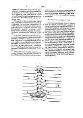 Лесомелиоративный способ защиты почв от эрозии (патент 1664127)