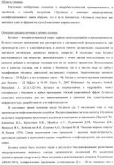 Бактерия - продуцент 1-бутанола и способ получения 1-бутанола (патент 2431672)