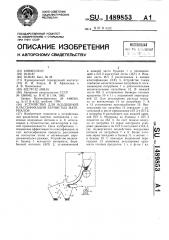 Устройство для воздушной классификации зернистых материалов (патент 1489853)