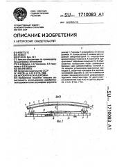 Акробатическая дорожка (патент 1710083)