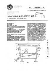 Устройство для сортирования плодов (патент 1831992)