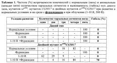 Способ оценки фармакологических и токсикологических свойств веществ - радио-, токсикопротекторов и радио-, токсикосенсибилизаторов (патент 2534822)