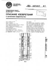 Пакер (патент 1571217)