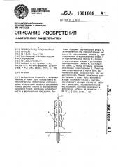 Антенна (патент 1601669)