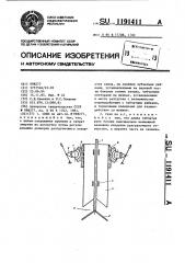 Скип (патент 1191411)
