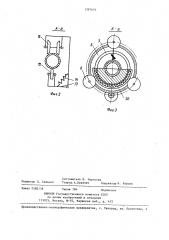 Устройство для нанесения теплоизоляционной массы на трубопроводы (патент 1397676)