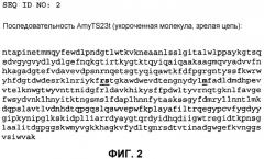 Варианты альфа-амилазы ts-23 с измененными свойствами (патент 2526516)