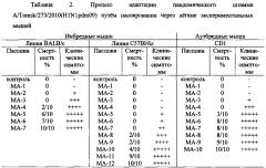 Адаптированные пандемические штаммы вируса гриппа a/tomsk/273/2010-ma1(h1n1pdm09), a/tomsk/273/2010-ma2(h1n1pdm09) и a/tomsk/273/2010-ma3(h1n1pdm09) для оценки действия противовирусных препаратов (варианты) (патент 2605317)
