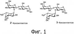Синтез фукозилированных соединений (патент 2584599)
