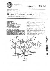 Опора для растений (патент 1611270)