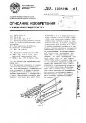Устройство для очесывания коробочек льна (патент 1308246)