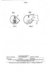 Кормушка (патент 1611290)