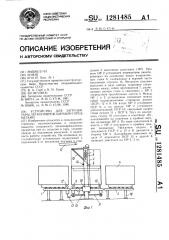 Устройство для загрузки тары легкоповреждаемыми предметами (патент 1281485)