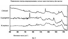 Способ идентификации микроорганизмов из тестируемого образца гемокультуры (патент 2541775)