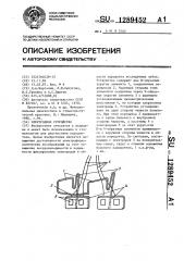Электродное устройство (патент 1289452)