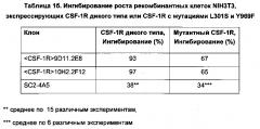 Антитела против человеческого csf-1r и их применения (патент 2658603)