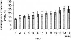 Штамм актиномицета streptomyces lateritius 19/97-m, используемый для стимулирования роста и защиты сеянцев хвойных от возбудителей болезней, вызываемых грибами родов fusarium и alternaria (патент 2261902)