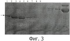 Способ очистки аполипопротеина а-1 (патент 2453555)