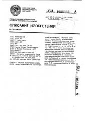 Способ получения анионита (патент 1055335)