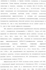 Scfv против egfrviii с улучшенной цитотоксичностью и выходом, иммунотоксины на их основе и способы их применения (патент 2317999)