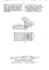 Ботвотранспортирующее устройство для свеклоуборочных машин (патент 671774)