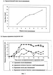 Штамм птичьего реовируса, вакцина, содержащая указанный реовирус, способ получения птичьих реовирусов, способ изготовления вакцины и способ борьбы с патологиями птицы, вызываемыми птичьими реовирусами (патент 2265659)