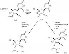 Фосфорамидатные производные нуклеозидов (патент 2553656)