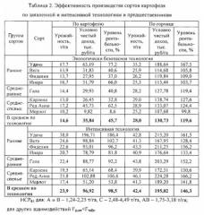 Экологически безопасный способ возделывания картофеля (патент 2556902)