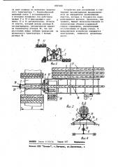 Устройство для раскряжевки и сортировки лесоматериалов (патент 1097489)