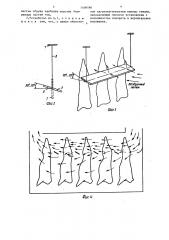 Устройство для термообработки мясных туш (патент 1400586)